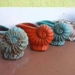Pottery Shells