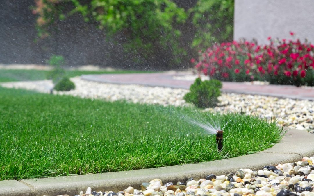 What to Consider Before You Install an Irrigation System