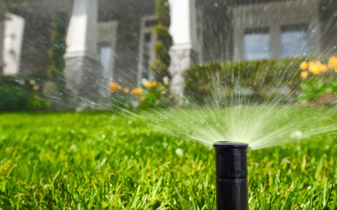 The Benefits of Installing a Sprinkler System – Landscaping Maintenance