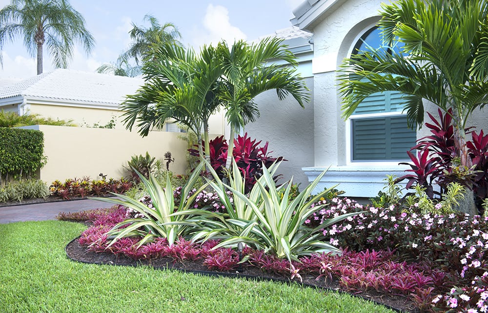 Retail Plant Nursery Landscaping, Popular Landscaping Plants In Florida