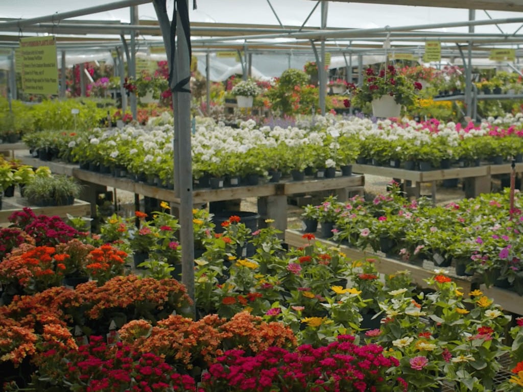 Full-Service Plant Nursery