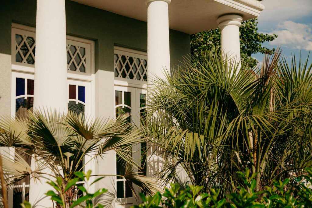 A house with white walls is surrounded by palm trees.
