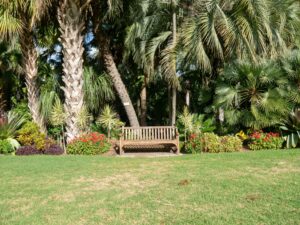 A bench sits at the far end of a lawn surrounded by palm trees and bushes.