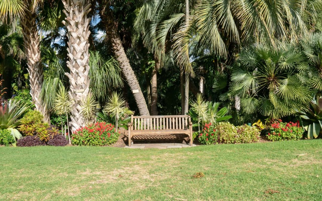 Your Guide to Landscape and Hardscape Design in South Florida