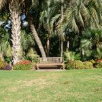 A bench sits at the far end of a lawn surrounded by palm trees and bushes.