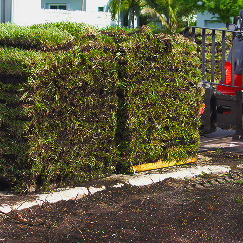 Sod Installation