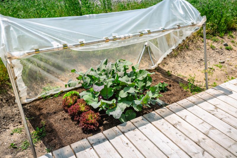 Using cloches and cold frames to protect tender plants in Sarasota’s cooler weather.