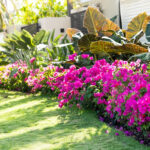 A native coontie plant thriving in a Florida-friendly garden with minimal maintenance.