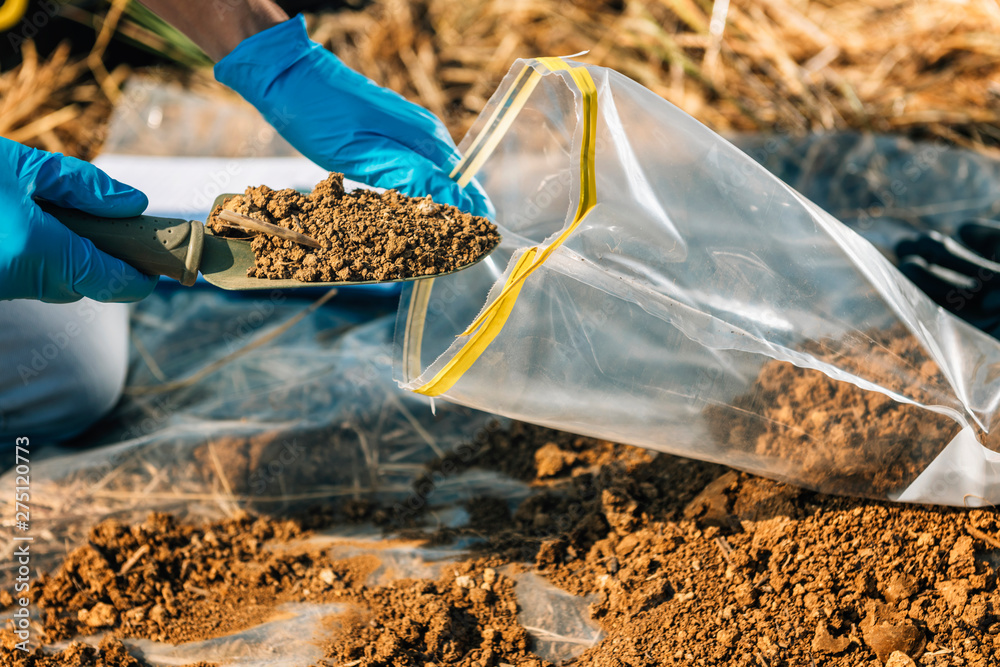 Compost pile with leaves and organic matter, enriching the soil naturally