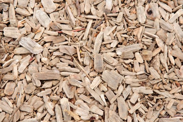 Pine bark mulch applied around a garden bed to conserve moisture and enrich the soil.