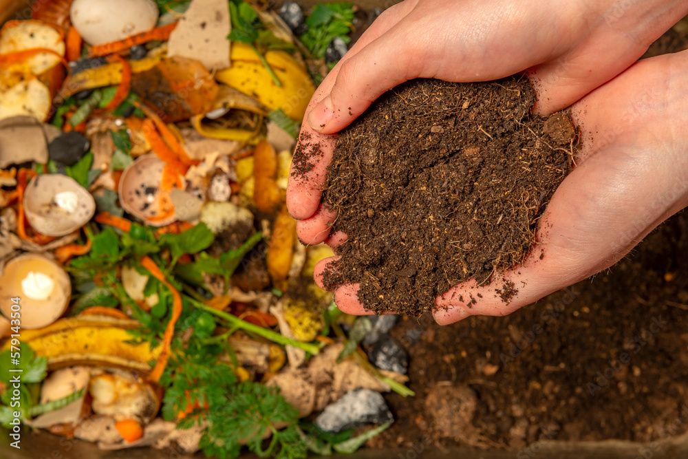 Gardener using slow-release fertilizer in a Florida garden for waterway protection