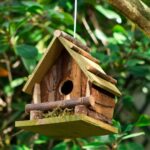 Birdhouse hanging from a tree