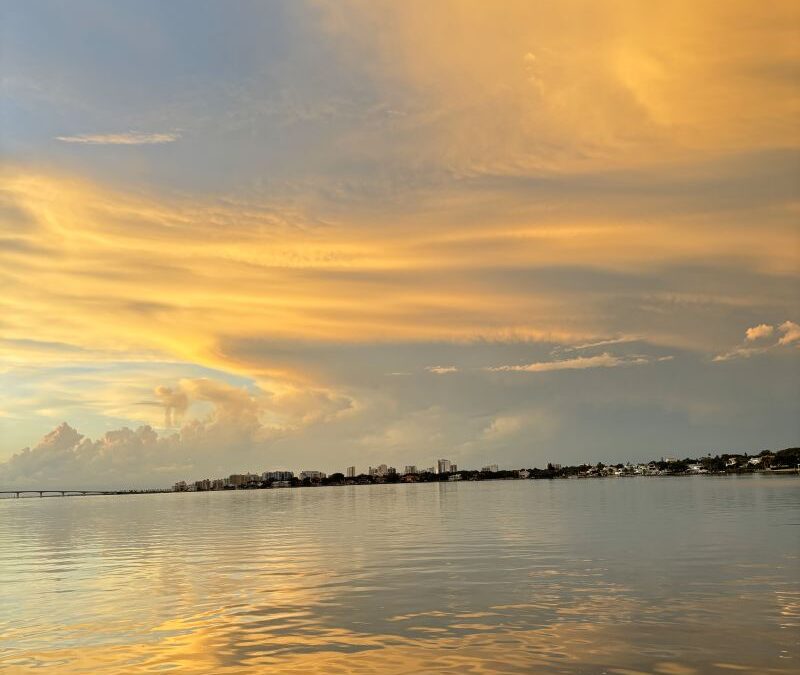 protect the Sarasota waterfront