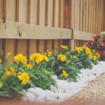 Florida-Friendly Landscaping spring