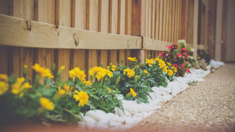 Florida-Friendly Landscaping spring