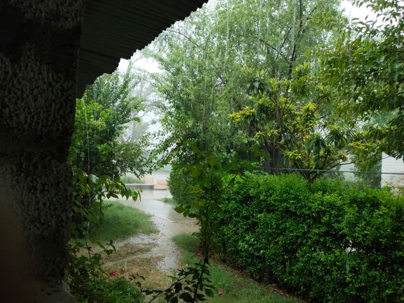 protect your landscape in Sarasota from overwatering
