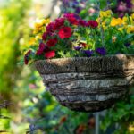 florida friendly landscaping tips