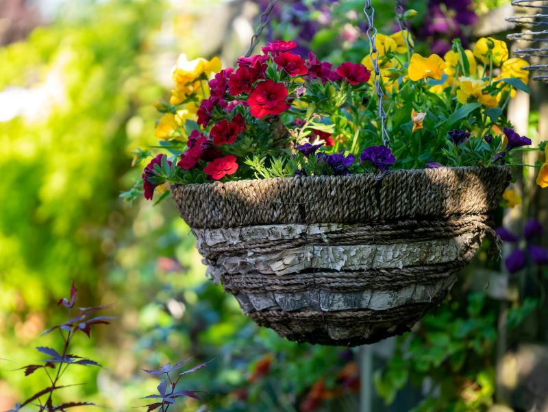 Storm-Ready Gardens: How to Prepare Your Sarasota Landscape for Hurricane Season