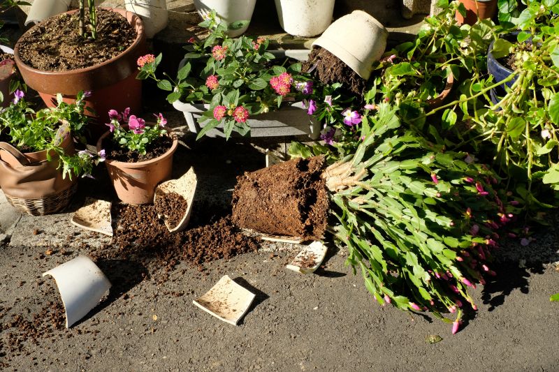 Damaged garden after Florida storm