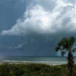 storm-resistant plants Sarasota