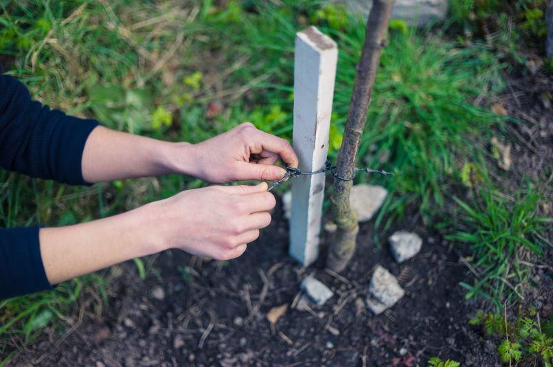 What to Prune, Stake, and Shelter: A Week-by-Week Storm Prep Guide for Sarasota Landscapes