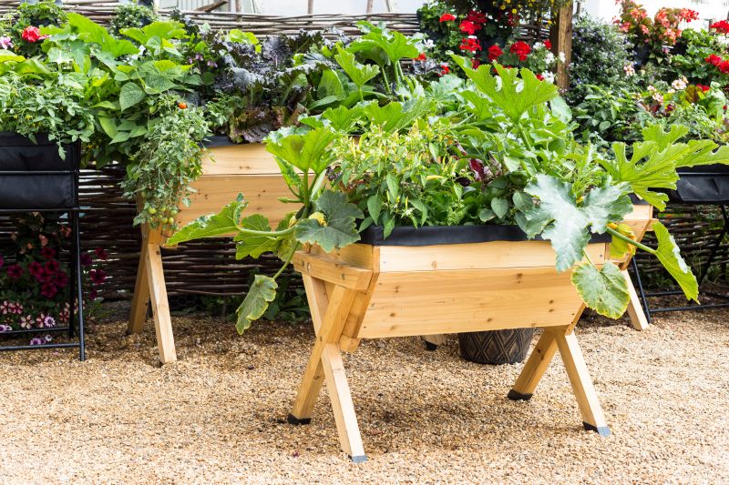 Container garden on Florida lanai before hurricane”