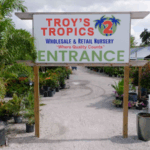 Sarasota wholesale plant nursery at Troy’s Tropics