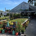 “Eco-friendly Florida landscaping with Troy’s Grown greenery
