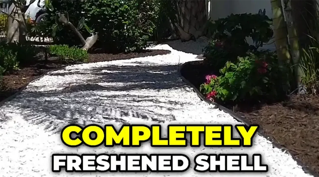 Coastal Comeback on Lido Key: Restoring a Historic Landscape After Salt Damage