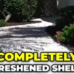 lined path with shell landscape design troys tropics