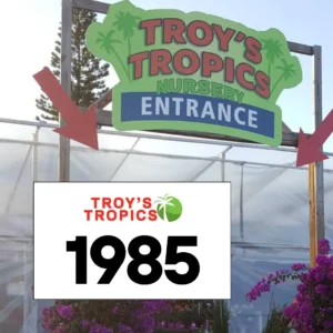 Troy’s Tropics Nursery entrance sign with arrows and blooming bougainvillea — 1985