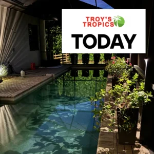 Sarasota lanai with lush containers, pool reflections, and subtle landscape lighting—Troy’s Tropics today