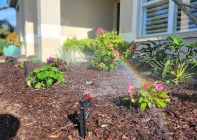 Micro Jets