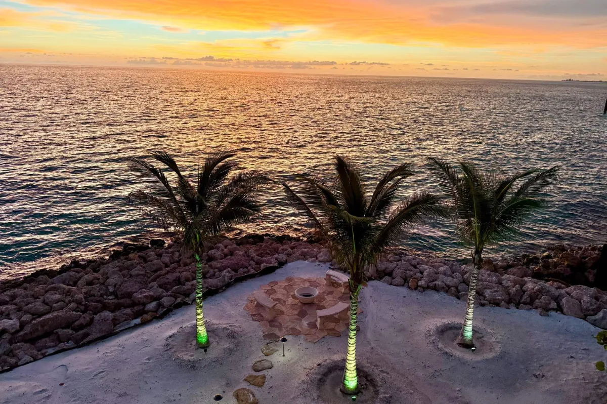 Waterfront landscape lighting highlighting palm trees at sunset along a coastal property in Sarasota, FL. 