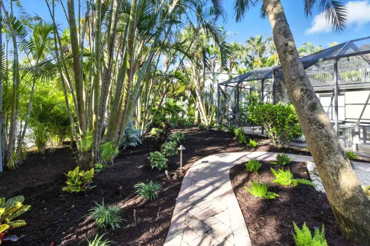 Lush tropical landscape installation with curved garden walkway, palms, and fresh mulch in Sarasota, FL. 