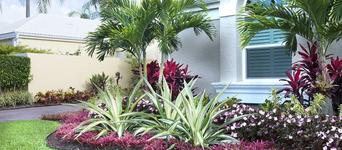 Steps to successful landscape design Steps to successful landscape design