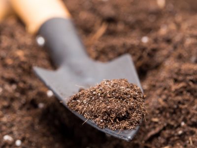 shovel-tool-on-soil